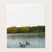 Lac Forêt.canards. (Outside Unfolded)