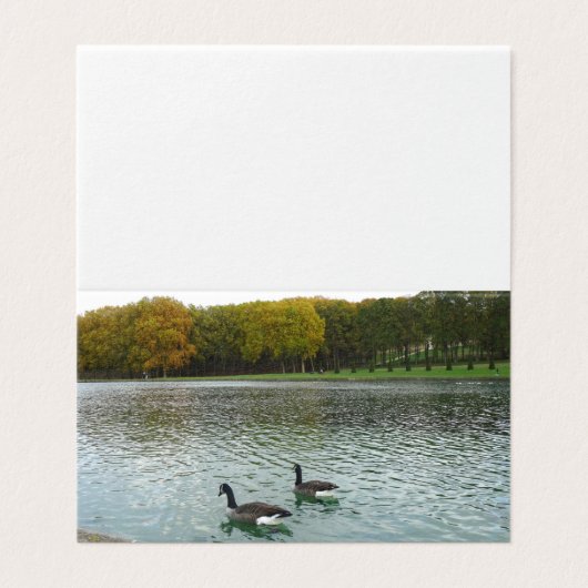 Lac Forêt.canards. (Outside Unfolded)