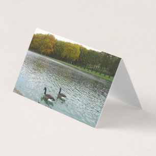 Lac Forêt. Canards.