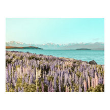 Lac Lupins | Impression d'art