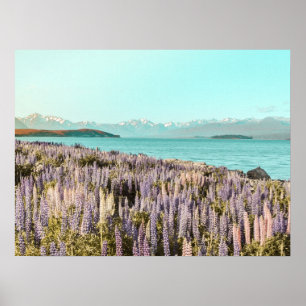 Lac Lupins   Impression d'art