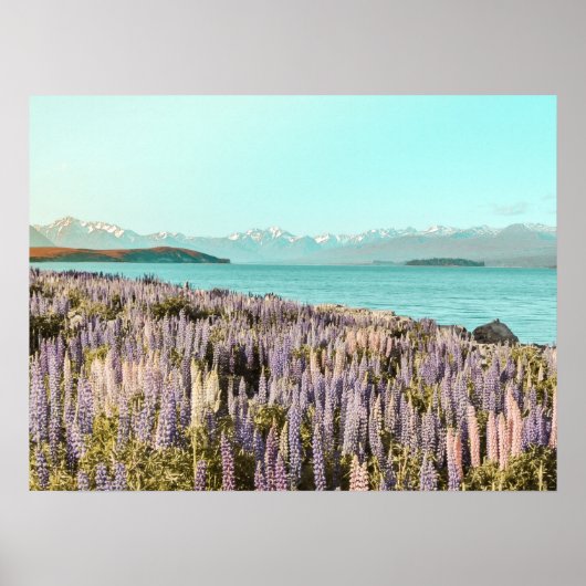 Lac Lupins | Impression d'art (Devant)