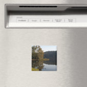 Lac Magnet (In Situ (Lave-vaisselle))