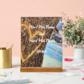 Lac Tahoe Blue Water Tree Heart Love (Mariage)