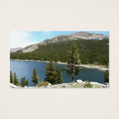 Lac Tenaya dans le Parc national de Yosemite (Dos)
