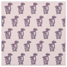 Laccaria Paddenstoelen -