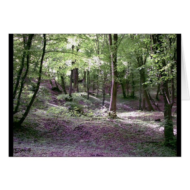 L'accent mis sur la paix (Devant horizontal)