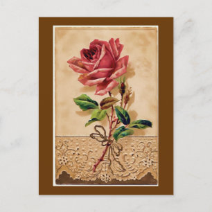 Lace Roos Briefkaart