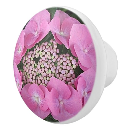 Lacecap Hydrangea Ceramic Pull Keramische Knop (Rechts)