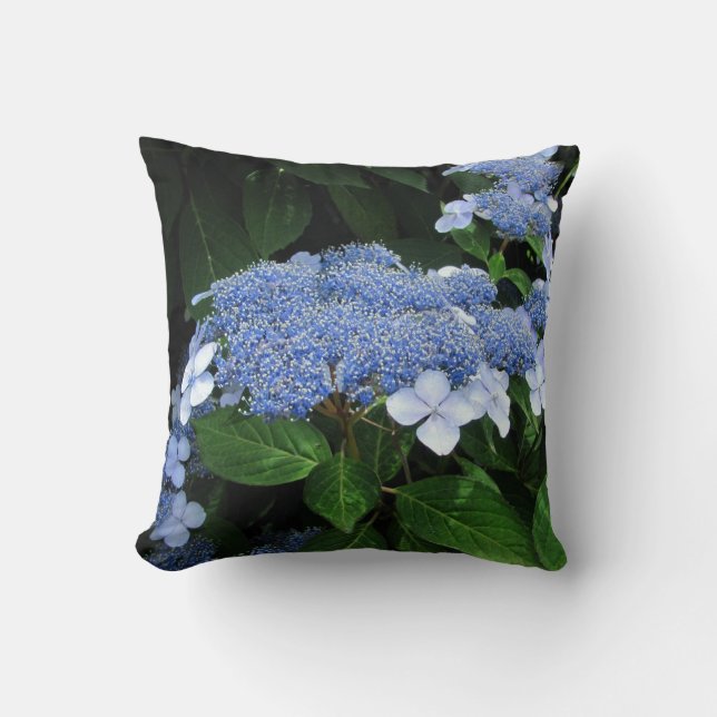 Lacecap Hydrangea ~ Pillow Kussen (Voorkant)