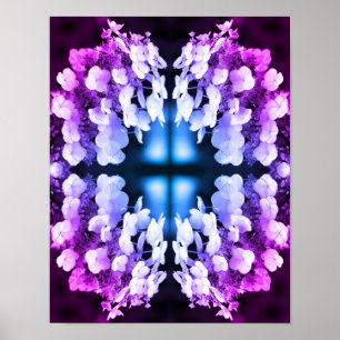 Lacecap Hydrangea Zwart-wit Abstract getint Poster