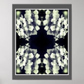 Lacecap Hydrangea zwart-wit Abstract Poster (Voorkant)