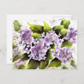 Lacecap Hydrangeas Briefkaart (Voorkant / Achterkant)