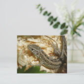 Lacerta agilis briefkaart (Staand voorkant)