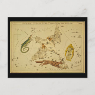 Lacerta, Cygnus, Lyra, Vulpecula en Anser Briefkaart