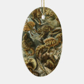Lacertilia door Ernst Haeckel hagedieren Keramisch Ornament (Rechts)