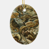 Lacertilia door Ernst Haeckel  hagedieren Keramisch Ornament (Achterkant)