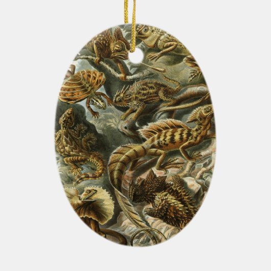 Lacertilia door Ernst Haeckel hagedieren Keramisch Ornament (Achterkant)