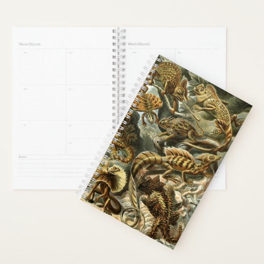 Lacertilia, scheepswerven van Ernst Haeckel Planne Planner (Display)