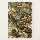Lacertilia, scheepswerven van Ernst Haeckel Planne Planner (Achterkant)