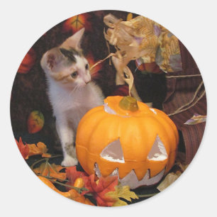 Lacey - Autocollants pour chat / chaton Halloween