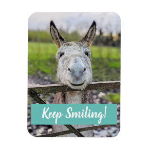 Lach Donkey "Blijf glimlachen" Magnet Magneet