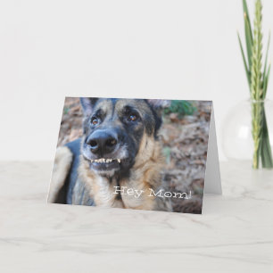 Lach! German Shepherd Happy Mothers Day Card Kaart