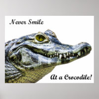 Lach nooit op een krokodil!