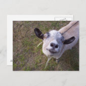 Lach voor de camera briefkaart (Voorkant / Achterkant)