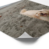 lachen2 poster (Hoek)