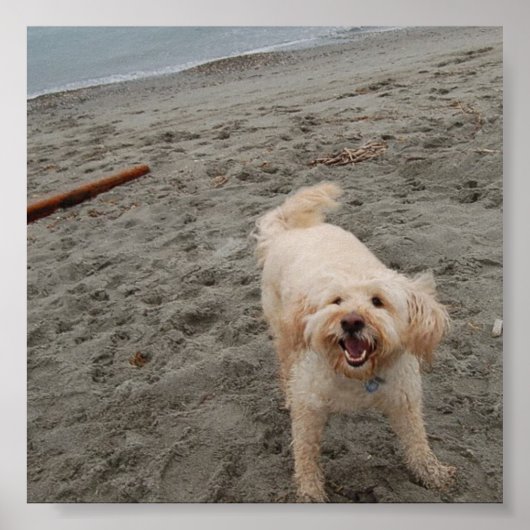 lachen2 poster (Voorkant)