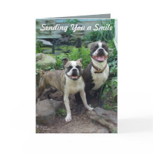 Lachen aan je denken Mis je Kaart