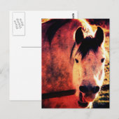 Lachen Briefkaart (Voorkant / Achterkant)