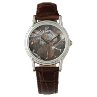 Lachen Iguana Foto Horloge