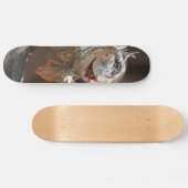 Lachen Iguana Fotografie Skateboard (Horizontaal)