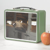 Lachend paard (In situ)