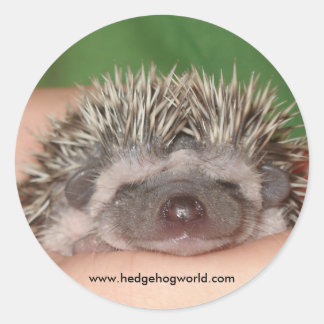 Lachende baby sticker