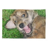 Lachende hond Berger Picard Puppy Grappige kussens Kussensloop (Achterkant)