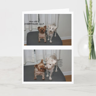 Lachende hond Verjaardag Kaart