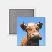 Lachende Kuh Magneet (Voorkant / Achterkant)