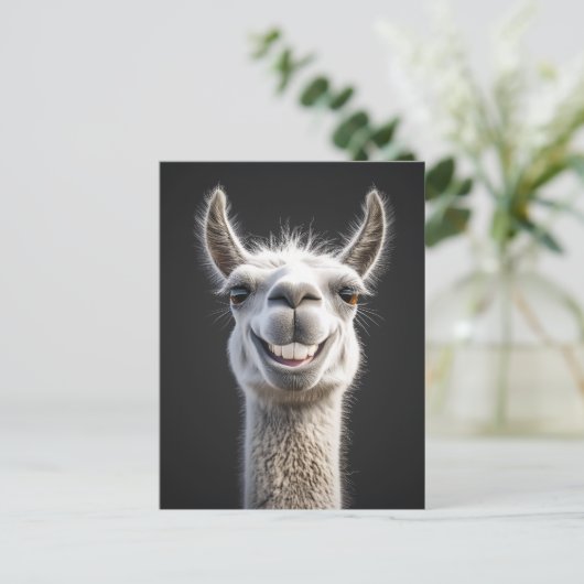 Lachende lama close-up briefkaart (Staand voorkant)