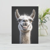 Lachende lama close-up kaart (Staand voorkant)