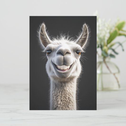 Lachende lama close-up kaart (Staand voorkant)