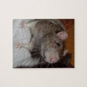 lachende rat puzzel met tin (Horizontaal)