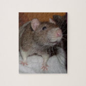 lachende rat puzzel met tin legpuzzel (Verticaal)