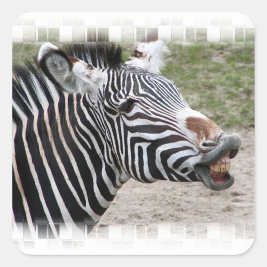 Lachende Zebra Stickers (Voorkant)