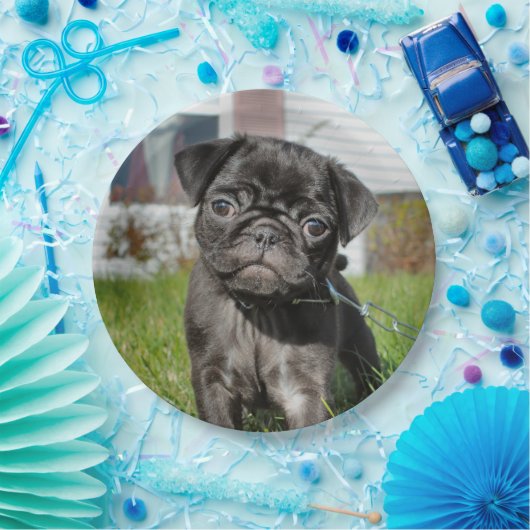 LACK PUG PUPPY PAPIEREN BORDJE (Feest)