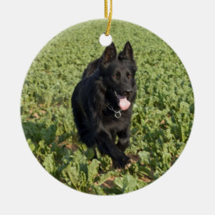 Lacquer Black German Shepherd Keramisch Ornament