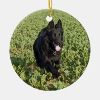 Lacquer Black German Shepherd Keramisch Ornament