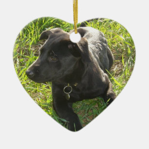 Lacquer Black German Shepherd Pup Keramisch Ornament